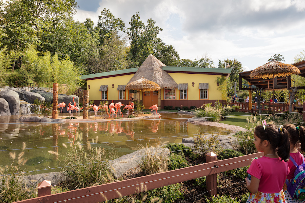 flamingo gardens dinosaur exhibit